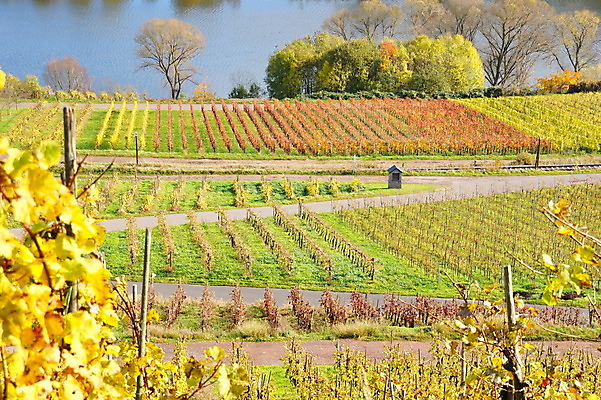 포토 JPG 해외이미지 사람없음 인도인 해외202004 해외포토 외국인 동양인 파일형식 이미지허브