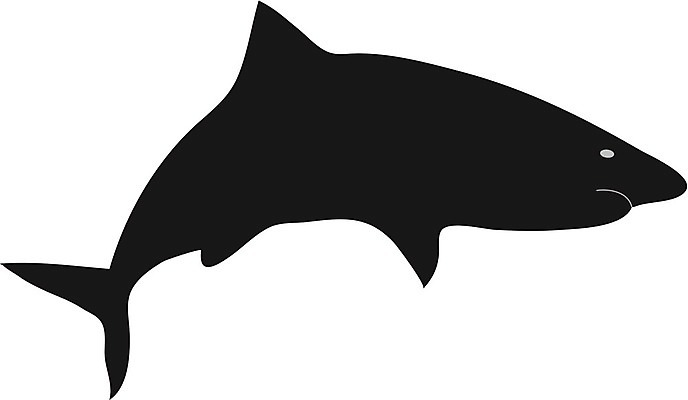 EPS 해외이미지 동물 1 실루엣 바다 백그라운드 곡선 일러스트 자연 어류 검은색 분노 흰색 입 위험 공격 배고픔 심볼 오브젝트 사인 그림 윤곽 상어 토막 고립 해외202004 해외일러스트 감정 선 컬러 컨셉 모션 촬영기법 신체부위 수중동물 생태계 파일형식 벡터 이미지허브