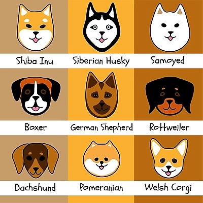 EPS 해외이미지 동물 캐릭터 디자인 얼굴 야생동물 백그라운드 일러스트 자연 동물원 사랑 사람 그래픽 반려동물 세트 머리 상점 정보 9 양치기 개 강아지 만화 닥스훈트 수집 심볼 사인 수의사 송곳니 고립 기르기 시베리아 포메라니안 스타일 해외202004 해외일러스트 일러캐릭터 직업 감정 포유류 신체부위 숫자 의사 치아 생태계 돌봄 파일형식 벡터 이미지허브