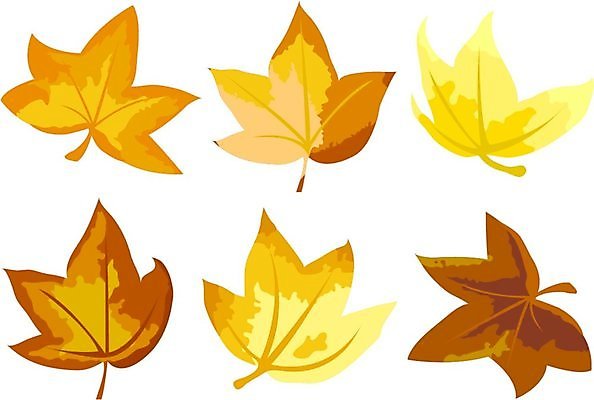 EPS 해외이미지 모양 나무 디자인 커플 계절 백그라운드 잎 오렌지 과일 일러스트 가족 자연 하늘 바람 추상 미래 야외 그래픽 물 빛 갈색 노란색 평화 우주 환경 정원 봄 공백 덮개 가을 흰색 시골 사과 숲 거짓 해외202004 해외일러스트 자연요소 식물 컬러 컨셉 무늬 관계 날씨 뚜껑 생태계 파일형식 벡터 이미지허브