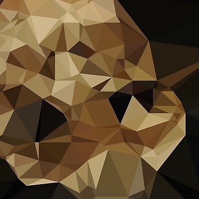 EPS 해외이미지 디자인 옷 포스터 선 백그라운드 컨셉 패턴 일러스트 벽지 표면 추상 미래 그림자 장식 갈색 검은색 어둠 공백 회색 덮개 직물 거친 질감 피라미드 심플 캔버스 모자이크 육각형 내추럴 그런지 대패 아마 옛날 폴리곤 스타일 해외202004 해외일러스트 도형 건축물 꽃 컬러 무늬 뚜껑 랜드마크 파일형식 벡터 이미지허브