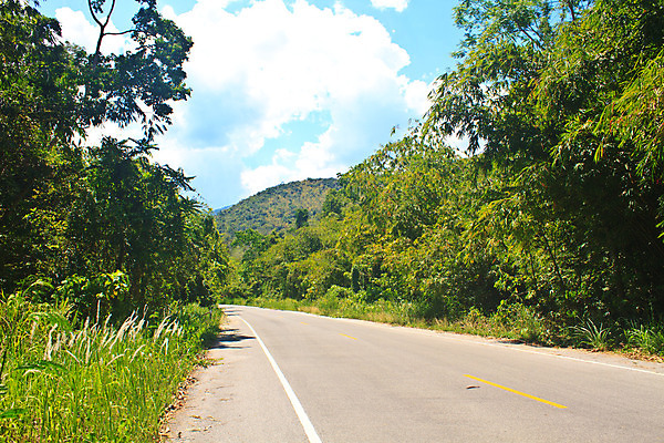 포토 JPG 해외이미지 나무 식물 계절 공원 도로 길 선 여행 백그라운드 잎 자동차 자연 아침 거리 그림자 풍경 사람없음 야외 초록색 환경 운전 시골 신선 숲 아스팔트 땅 장면 내추럴 방법 해외202004 해외포토 주간 공공시설 육상교통 컬러 교통시설 모션 생태계 파일형식 이미지허브