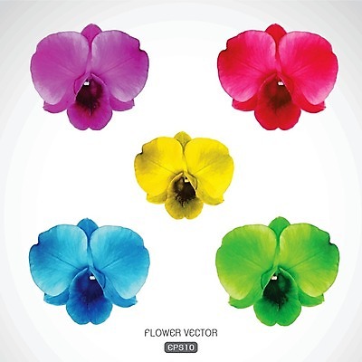 EPS 해외이미지 꽃잎 꽃 백그라운드 꽃무늬 일러스트 수채화 사람없음 빨간색 머리 우주 스파 난초 복숭아 꽃가루 호접란 해외202004 해외일러스트 식물 컬러 무늬 과일 신체부위 가루 파일형식 벡터 이미지허브