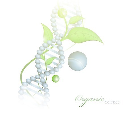 EPS 해외이미지 과학 잎 일러스트 자연 미래 세포 나선형 건강 사람 그래픽 초록색 약 새싹 성장 암호 약초 질병 DNA 생명공학 약국 에코 유기농 생물학 염색체 조제 바이오 복제 유전 해외202004 해외일러스트 식물 웰빙 교육 컬러 컨셉 무늬 의학 환경 풀_식물 생태계 만들기 파일형식 벡터 이미지허브