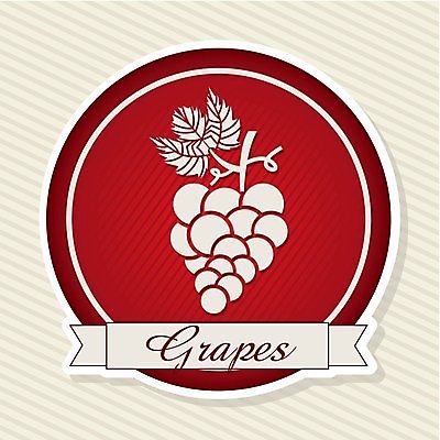 EPS 해외이미지 식물 디자인 계절 열매 실루엣 리본 음식 백그라운드 잎 꽃무늬 농업 다이어트 과일 일러스트 자연 포도 디저트 건강 장식 빨간색 농작물 수확 나뭇가지 신선 원형 달콤 다발 유기농 포도밭 포도나무 내추럴 숙성 양조장 스타일 해외202004 해외일러스트 도형 나무 웰빙 꽃 산업 컬러 무늬 밭 촬영기법 맛 과일나무 생태계 파일형식 벡터 이미지허브