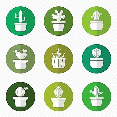 EPS 해외이미지 나무 식물 디자인 계절 꽃 화분 화초 백그라운드 꽃무늬 일러스트 자연 디저트 선인장 건조 미술 풍경 사람없음 그래픽 장식 초록색 여름 세트 사막 성장 벚꽃 흰색 못 원형 가시 냄비 스케치 수집 심볼 오브젝트 날카로움 스파이크 고립 심기 엘리먼트 스타일 해외202004 해외일러스트 도형 음식 컬러 무늬 모션 문화예술 공구 솥 생태계 파일형식 벡터 이미지허브