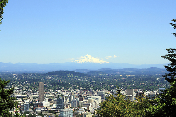 포토 JPG 해외이미지 주간 나무 식물 구름 공원 여행 건축양식 하늘 산 풍경 사람없음 야외 건물 초록색 파란색 도시풍경 사무실 계곡 고층빌딩 도시 센터 도심 화산 태평양 대도시 스카이라인 일반 해외202004 해외포토 자연요소 건축물 공공시설 건축 바다 컬러 비즈니스 빌딩 파일형식 이미지허브