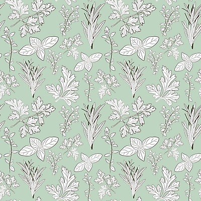 EPS 해외이미지 클립아트 식물 음식 잎 패턴 일러스트 재료 자연 파슬리 건강 요리 미술 초록색 주방 정원 나뭇가지 신선 고명 맛 수프 허브 향신료 유기농 원예 클립 향 토기 상록수 바질 로즈메리 내추럴 고립 백리향 채식주의자 비건 해외202004 해외일러스트 나무 웰빙 컬러 컨셉 무늬 채소 문화예술 취미 용기_그릇 생태계 채식 향미료 파일형식 벡터 이미지허브