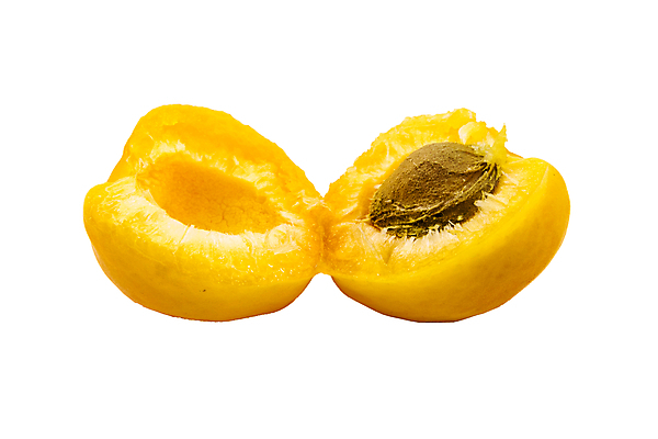 포토 JPG 해외이미지 음식 채소 오렌지 자연 건강 사람없음 노란색 흰색 신선 오픈 달콤 유기농 고립 살구 숙성 채식주의자 해외202004 해외포토 웰빙 컬러 과일 맛 생태계 채식 파일형식 이미지허브