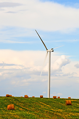 포토 JPG 해외이미지 밭 농업 자연 하늘 바람 풍경 사람없음 여름 파란색 농장 힘 풍차 발전기 에너지 수확 시골 볏짚 밀 뭉치 밀짚 생태학 해외202004 해외포토 자연요소 계절 교육 산업 컬러 날씨 곡류 발전소 짚 생태계 파일형식 이미지허브