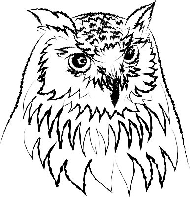 EPS 해외이미지 동물 응시 야생동물 선 날개 일러스트 자연 조류 갈색 흰색 스케치 깃털 그림 부리 독수리 육식동물 부엉이 사냥꾼 시베리아 해외202004 해외일러스트 직업 시선 컬러 미술 생태계 파일형식 벡터 이미지허브