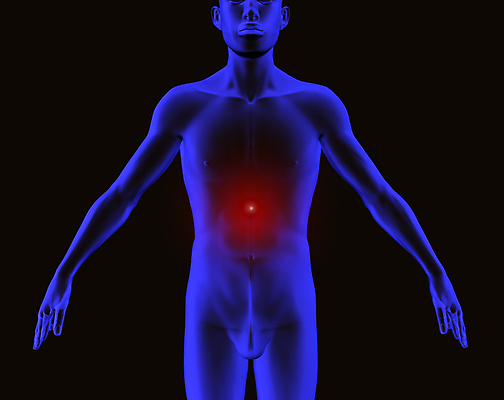 포토 JPG 해외이미지 모양 신체 일러스트 해부 뼈 골격 엑스레이 3 사람 사람없음 그래픽 파란색 컴퓨터 약 고통 환자 질병 엉덩이 관절염 생물학 골다공증 새장 몸통 갈비뼈 궤 염증 해골모형 해외202004 해외포토 교육 감정 컬러 의학 신체부위 전자제품 모형 케이지 파일형식 이미지허브