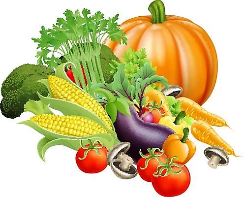 EPS 해외이미지 디자인 잡화 계절 음식 잎 농업 토마토 채소 과일 일러스트 호박 가지 휴가 건강 옥수수 그래픽 빨간색 초록색 농작물 정원 축제 당근 샐러드 가을 신선 시장 브로콜리 그림 유기농 후추 추수감사절 스쿼시 고립 포상금 해외202004 해외일러스트 식물 웰빙 산업 기독교 스포츠 컬러 돈 곡류 뿌리채소 구기 향신료 파일형식 벡터 이미지허브