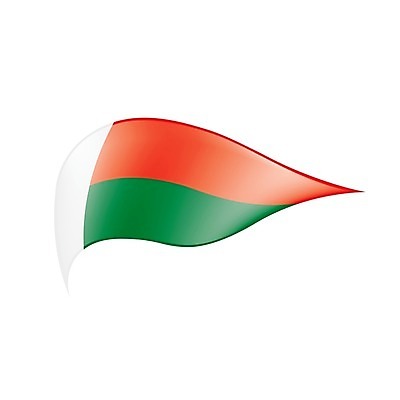 EPS 해외이미지 전통 디자인 배너 리본 문화 물결 파도 여행 백그라운드 패턴 일러스트 아프리카 장식 빨간색 세계 흰색 깃발 선택 심볼 사인 웨이브 애국심 고립 독립 마다가스카르 신분증 전국 정부 정치 정확 해외202004 해외일러스트 나라 바다 컬러 컨셉 무늬 증명서 파일형식 벡터 이미지허브