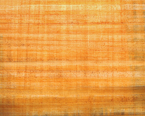 포토 JPG 해외이미지 나무 디자인 산업 벽 백그라운드 패턴 자연 표면 날씨 추상 바닥 주택 프레임 사람없음 건물 목재 가로 울타리 갈색 어둠 줄무늬 공백 시골 판넬 거친 숲 낟알 질감 복고 매듭 결 잡동사니 내추럴 구식 그런지 수목 옛날 줄서기 효과 해외202004 해외포토 식물 건축물 컬러 무늬 재료 모션 담장 생태계 파일형식 이미지허브