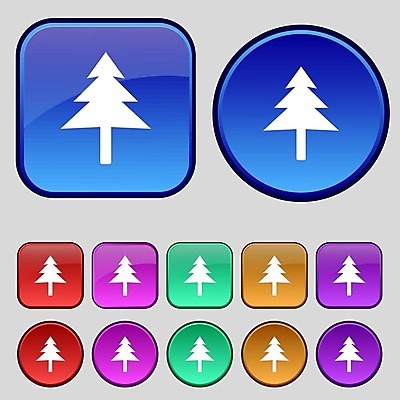 EPS 해외이미지 클립아트 나무 식물 디자인 계절 실루엣 백그라운드 컨셉 잎 크리스마스 패턴 일러스트 추상 휴가 새해 기념 선물 그래픽 장식 픽토그램 크리스마스트리 환경 정원 봄 수확 축하 인사 소나무 낙서 숲 수집 그림 에코 유기농 복고 전나무 생태학 엘리먼트 오리지널 스타일 미니멀리스트 크리스마스배경 미니멀 해외202004 해외일러스트 웰빙 교육 기념일 무늬 농업 촬영기법 예절 파일형식 벡터 이미지허브