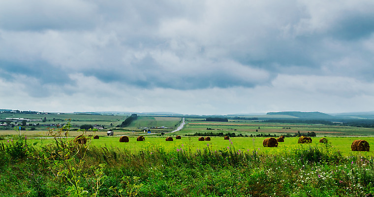 포토 JPG 해외이미지 구름 유럽 여행 잎 밭 자연 휴식 산 거리 파노라마 사람 풍경 사람없음 농장 환경 가을 오픈 중앙 숲 생태계 기회 역동적 먼지 발견 내추럴 무한 현실 안락 해외202004 해외포토 자연요소 식물 계절 나라 컨셉 농업 촬영기법 파일형식 이미지허브
