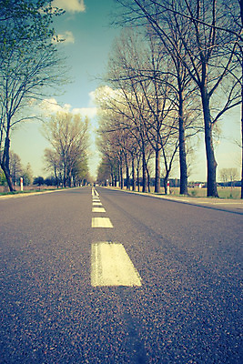 포토 JPG 해외이미지 나무 구름 도로 선 여행 상상 하늘 거리 창조 사람 풍경 사람없음 파란색 컬러풀 노란색 오픈 고속도로 아스팔트 속도 진행 평야 수평선 해외202004 해외포토 자연요소 식물 길 컬러 교통시설 자연 파일형식 이미지허브