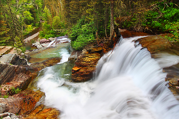 포토 JPG 해외이미지 식물 공원 여행 자연 풍경 사람없음 초록색 물 파란색 강 계곡 미국 폭포 가을 개울 황무지 급류 숲 빙하 지역 삼림지대 전국 현재 해외202004 해외포토 자연요소 계절 공공시설 컬러 컨셉 북아메리카 생태계 파일형식 이미지허브