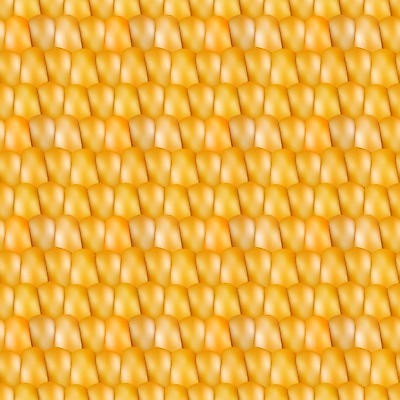 EPS 해외이미지 클립아트 식물 디자인 음식 백그라운드 패턴 농업 다이어트 채소 오렌지 일러스트 가족 자연 벽지 추상 건강 옥수수 그래픽 장식 빛 노란색 웹 달콤 낟알 시리얼 허브 그림 질감 알맹이 팝콘 깨 내추럴 세련 현실 해외202004 해외일러스트 산업 컬러 무늬 인터넷 과일 식재료 관계 곡류 조미료 맛 생태계 파일형식 벡터 이미지허브