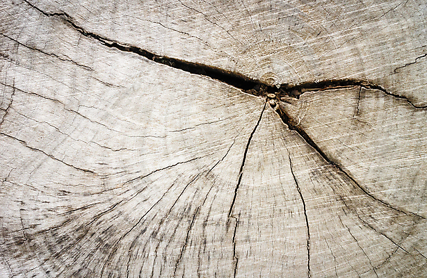 포토 JPG 해외이미지 모양 나무 산업 선 조각 백그라운드 십자가 패턴 부분 자연 표면 날씨 추상 사람없음 목재 갈색 줄무늬 껍질 널 숲 장작 자르기 유기농 질감 통나무 나무껍질 잡동사니 내추럴 방법 수목 옛날 노화 해외202004 해외포토 식물 웰빙 컬러 컨셉 무늬 재료 모션 생태계 파일형식 이미지허브