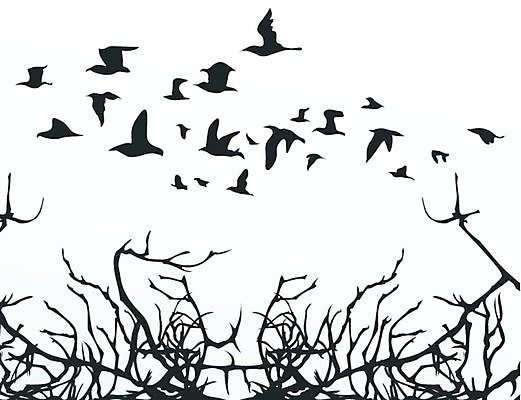 EPS 해외이미지 나무 식물 동물 디자인 꽃잎 꽃다발 잎 꽃무늬 패턴 일러스트 자연 조류 오리 프레임 미술 풍경 목재 환경 검은색 만화 왜가리 비둘기 꼬리 부엉이 거위 내추럴 동물상 해외202004 해외일러스트 꽃 컬러 무늬 재료 문화예술 조형물 생태계 파일형식 벡터 이미지허브