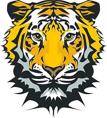 EPS 해외이미지 동물 얼굴 스포츠 일러스트 학교 수염 그래픽 머리 고양이 줄무늬 호랑이 육식동물 마스코트 해외202004 해외일러스트 교육 무늬 포유류 신체부위 반려동물 파일형식 벡터 이미지허브