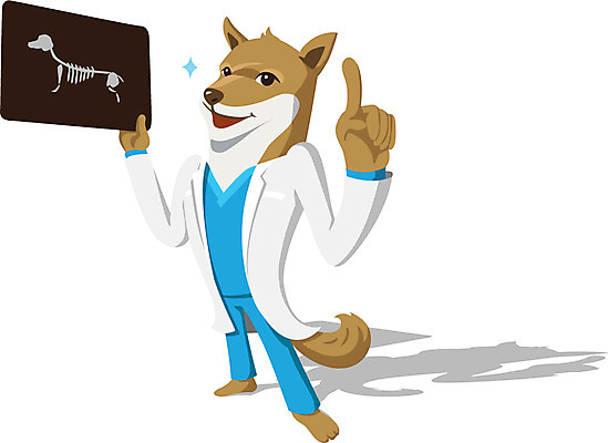 동물 직업 캐릭터 동물캐릭터 일러스트 홍보캐릭터 뼈 엑스레이 직업캐릭터 들기 손짓 사람없음 치료 진료 의사 검지손가락 가운 의사가운 개 강아지 전문직 알림 기념사진 일러캐릭터 AI파일 옷 포유류 손가락 의학 모션 반려동물 의료진 파일형식 벡터