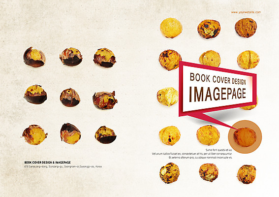 PSD 템플릿 편집 표지디자인 북디자인 출판디자인 표지 음식 백그라운드 말풍선 북커버 디저트 팜플렛 사람없음 견과류 밤 겨울음식 겨울간식 군밤 제철음식 이미지템플릿 겨울 밤_견과류 굽기 제철 파일형식