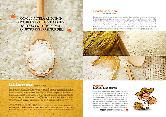 PSD 템플릿 편집 모자 표지디자인 북디자인 출판디자인 남자 내지 음식 백그라운드 북커버 열쇠 곡류 한명 들기 사람 손짓 팜플렛 성인 농작물 숟가락 벼 쌀 최고 농부 키_도구 이삭 남자만 남자한명만 성인남자만 성인만 이미지템플릿 직업 1 잡화 농업 모션 수저 도구 파일형식