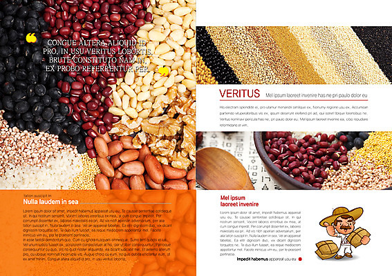 PSD 템플릿 편집 모자 표지디자인 북디자인 출판디자인 남자 내지 음식 백그라운드 북커버 콩 곡류 한명 들기 사람 손짓 팜플렛 성인 농작물 견과류 쌀 최고 농부 땅콩 호두 팥 남자만 남자한명만 성인남자만 성인만 이미지템플릿 직업 1 잡화 농업 모션 파일형식