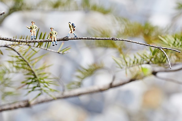 포토 JPG 주간 나무 식물 인형 사람없음 야외 아웃포커스 장난감 모형 미니어처 피규어 나뭇가지 오브젝트 국내포토 자연요소 촬영기법 파일형식
