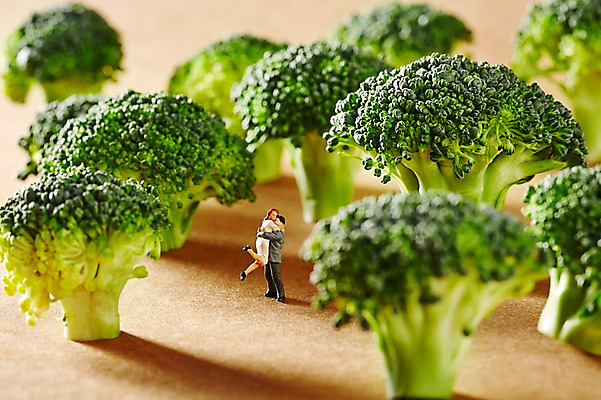 포토 JPG 스튜디오촬영 커플 인형 컬러 채소 식재료 안기 실내 사람없음 아웃포커스 초록색 장난감 모형 미니어처 피규어 브로콜리 오브젝트 컬러푸드 국내포토 관계 모션 촬영기법 내부 파일형식