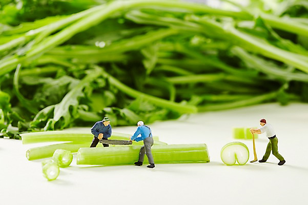 포토 JPG 스튜디오촬영 인형 컬러 채소 식재료 실내 사람없음 아웃포커스 초록색 장난감 모형 미니어처 피규어 오브젝트 컬러푸드 톱 파 시금치 국내포토 촬영기법 내부 공구 파일형식