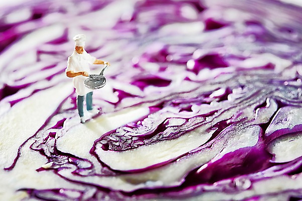 포토 JPG 스튜디오촬영 인형 채소 식재료 실내 요리사모자 사람없음 아웃포커스 장난감 모형 보라색 요리사 미니어처 피규어 프라이팬 오브젝트 컬러푸드 적양배추 국내포토 직업 모자_잡화 컬러 주방용품 촬영기법 내부 양배추 파일형식