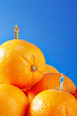 포토 JPG 스튜디오촬영 모자 음식 인형 컬러 오렌지 과일 실내 사람없음 아웃포커스 파란색 장난감 모형 주황색 미니어처 피규어 오브젝트 국내포토 잡화 촬영기법 내부 파일형식