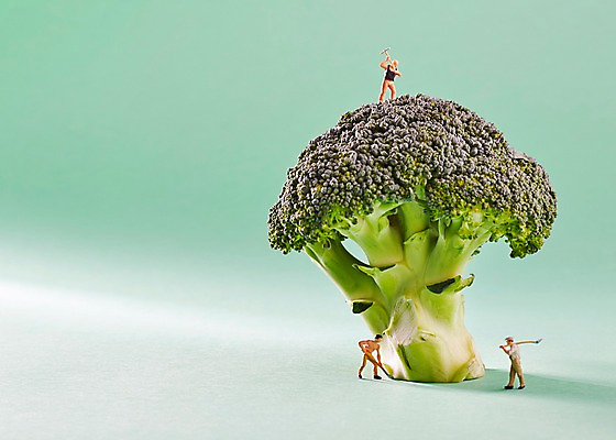 포토 JPG 스튜디오촬영 식물 음식 인형 컬러 채소 식재료 노동자 실내 사람없음 초록색 장난감 모형 미니어처 피규어 브로콜리 삽 오브젝트 녹색배경 국내포토 직업 백그라운드 내부 파일형식