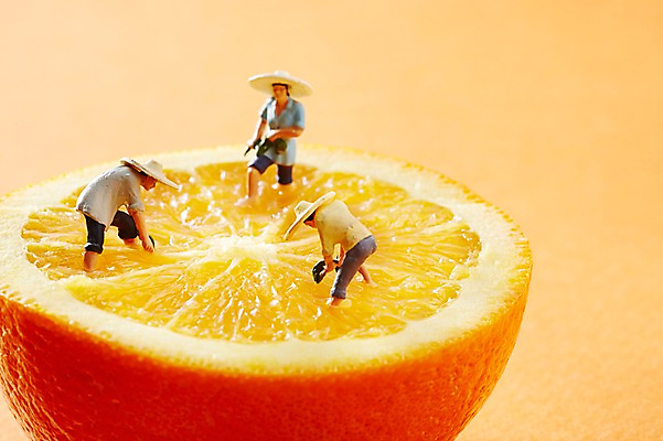 포토 JPG 스튜디오촬영 음식 인형 컬러 오렌지 과일 노동자 실내 사람없음 아웃포커스 장난감 모형 주황색 미니어처 피규어 농부 오브젝트 밀짚모자 국내포토 직업 모자_잡화 촬영기법 내부 파일형식