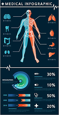 신체 일러스트 의학 인체모형 청진기 의료기기 통계 수치 그래프 뼈 골격 병원 종류 주사기 사람없음 신체부위 치료 숫자 알약 약 자료 인포그래픽 정보 심장 내장 비교 퍼센트 표 신장 허파 치아 장기 분석 뇌 옵션 간 대장 서류판 국내일러스트 AI파일 문자 컨셉 사람 모형 사무용품 소화기관 장기_의학 특수기호 비뇨기관 호흡기관 파일형식 벡터