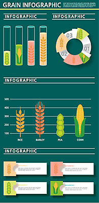 일러스트 식재료 통계 수치 그래프 콩 곡류 종류 옥수수 사람없음 픽토그램 자료 인포그래픽 정보 쌀 비교 표 막대그래프 분석 옵션 완두콩 보리 원그래프 비율 서류판 국내일러스트 AI파일 컨셉 사무용품 파일형식 벡터