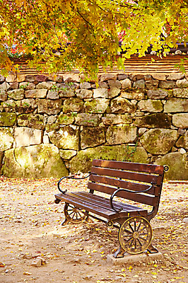 포토 JPG 주간 나무 식물 계절 백그라운드 단풍 잎 벤치 의자 자연 단풍나무 나뭇잎 돌담 풍경 사람없음 야외 담장 가을풍경 가을 전라북도 전라도 내장산 국내포토 자연요소 가구 산 한국 돌_바위 생태계 파일형식 가을_계절