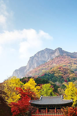 포토 JPG 주간 나무 식물 구름 건축물 계절 로우앵글 컬러 백그라운드 단풍 잎 자연 하늘 단풍나무 나뭇잎 산 풍경 사람없음 야외 빨간색 가을풍경 가을 사찰 숲 전라북도 전라도 내장산 국내포토 자연요소 건축 뷰포인트 종교건축 한국 생태계 파일형식 가을_계절