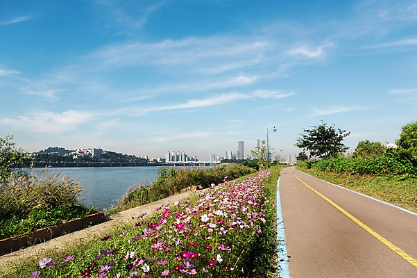 포토 JPG 주간 식물 구름 건축물 계절 꽃 도로 길 백그라운드 자연 하늘 풍경 사람없음 야외 건물 강 가을풍경 가을 충청남도 코스모스 충청도 가교 차선_도로 국내포토 자연요소 건축 교통시설 한국 생태계 파일형식 가을_계절