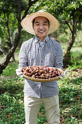 포토 JPG 주간 나무 식물 직업 모자 계절 열매 남자 장갑 자연 한명 서기 웃음 들기 사람 동양인 풍경 상반신 성인 야외 30대 청춘 바구니 가을풍경 한국인 견과류 가을 농부 밤 충청남도 충청도 성인남자한명만 장년만 장년남자만 장년남자한명만 소상공인 국내포토 자연요소 1 잡화 컨셉 모션 한국 표정 인종 장년 경제 상인 생태계 남자만 남자한명만 성인남자만 성인만 파일형식 가을_계절