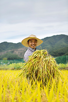 포토 JPG 주간 직업 모자 계절 남자 장갑 농업 자연 한명 서기 웃음 들기 사람 동양인 풍경 상반신 성인 야외 30대 농작물 청춘 가을풍경 농사 한국인 수확 벼 가을 볏짚 농부 충청남도 충청도 벼농사 벼이삭 성인남자한명만 장년만 장년남자만 장년남자한명만 소상공인 국내포토 자연요소 1 잡화 산업 컨셉 모션 곡류 한국 표정 인종 장년 경제 짚 상인 생태계 이삭 남자만 남자한명만 성인남자만 성인만 파일형식 가을_계절