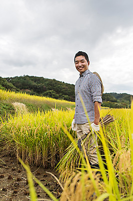 포토 JPG 주간 직업 모자 계절 남자 장갑 농업 자연 한명 서기 웃음 들기 사람 동양인 풍경 상반신 성인 야외 30대 농작물 청춘 가을풍경 농사 한국인 수확 벼 가을 볏짚 농부 충청남도 충청도 벼농사 벼이삭 성인남자한명만 장년만 장년남자만 장년남자한명만 소상공인 국내포토 자연요소 1 잡화 산업 컨셉 모션 곡류 한국 표정 인종 장년 경제 짚 상인 생태계 이삭 남자만 남자한명만 성인남자만 성인만 파일형식 가을_계절