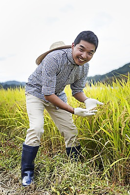 포토 JPG 주간 전신 직업 모자 계절 남자 장갑 농업 자연 한명 서기 웃음 사람 동양인 풍경 성인 야외 30대 농작물 청춘 가을풍경 농사 한국인 수확 벼 가을 잡기 농부 충청남도 충청도 벼농사 벼이삭 성인남자한명만 장년만 장년남자만 장년남자한명만 소상공인 국내포토 자연요소 1 잡화 산업 컨셉 모션 곡류 한국 표정 인종 장년 경제 상인 생태계 이삭 남자만 남자한명만 성인남자만 성인만 파일형식 가을_계절