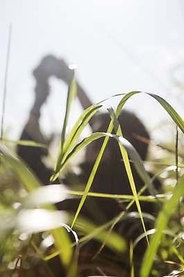 포토 JPG 주간 식물 계절 실루엣 백그라운드 자연 한명 사람 풍경 야외 아웃포커스 햇빛 반사 가을풍경 가을 풀 충청남도 충청도 국내포토 자연요소 1 한국 촬영기법 태양 생태계 파일형식 가을_계절
