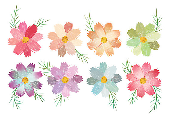 PSD 식물 계절 꽃 백그라운드 일러스트 풍경 사람없음 컬러풀 가을 코스모스 가을배경 국내일러스트 컬러 파일형식 가을_계절