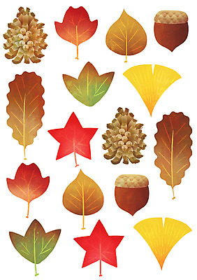 PSD 계절 열매 단풍 잎 일러스트 나뭇잎 사람없음 컬러풀 견과류 가을 은행잎 도토리 솔방울 국내일러스트 식물 컬러 파일형식